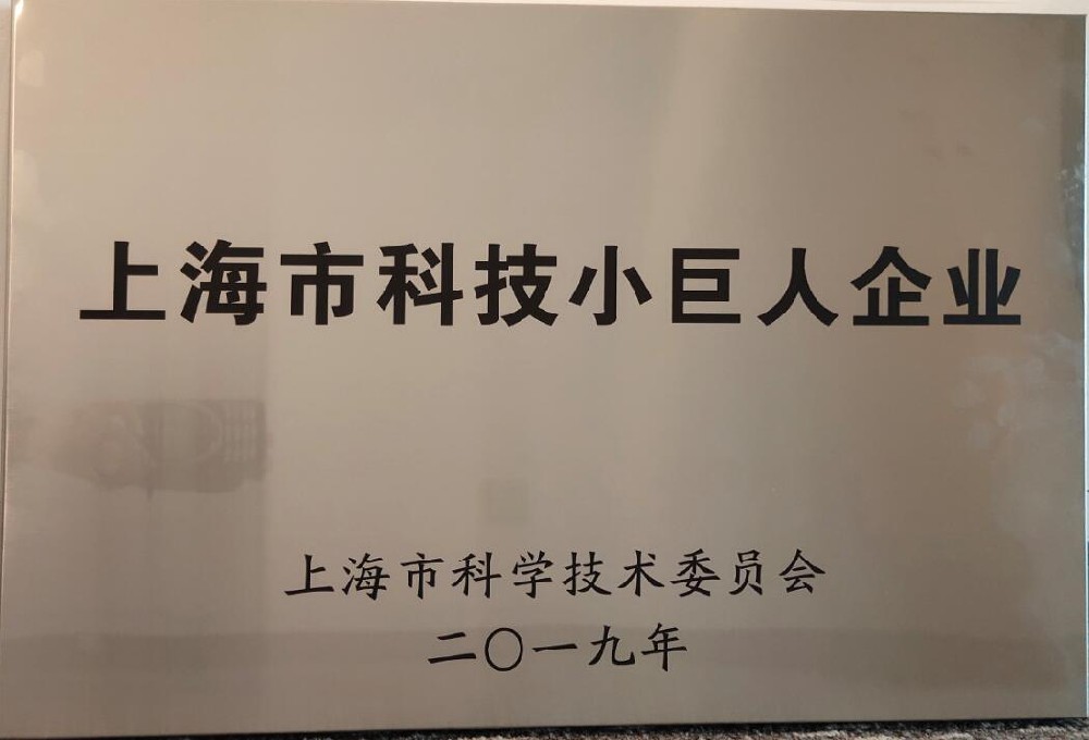 上海市科技小巨人