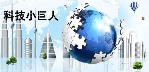 捷报频传，西信信息喜获“2018年度奉贤区科技小巨人拟认定企业”